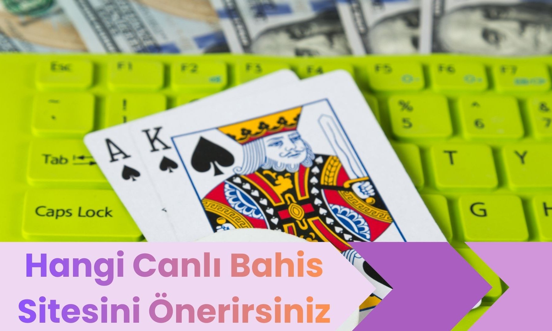 Hangi Canlı Bahis Sitesini Önerirsiniz